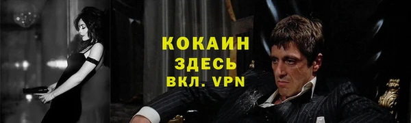 гашик Абинск