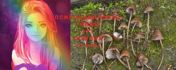 гашик Абинск