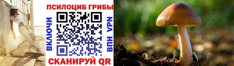 Псилоцибиновые грибы мухоморы  Александровск-Сахалинский 